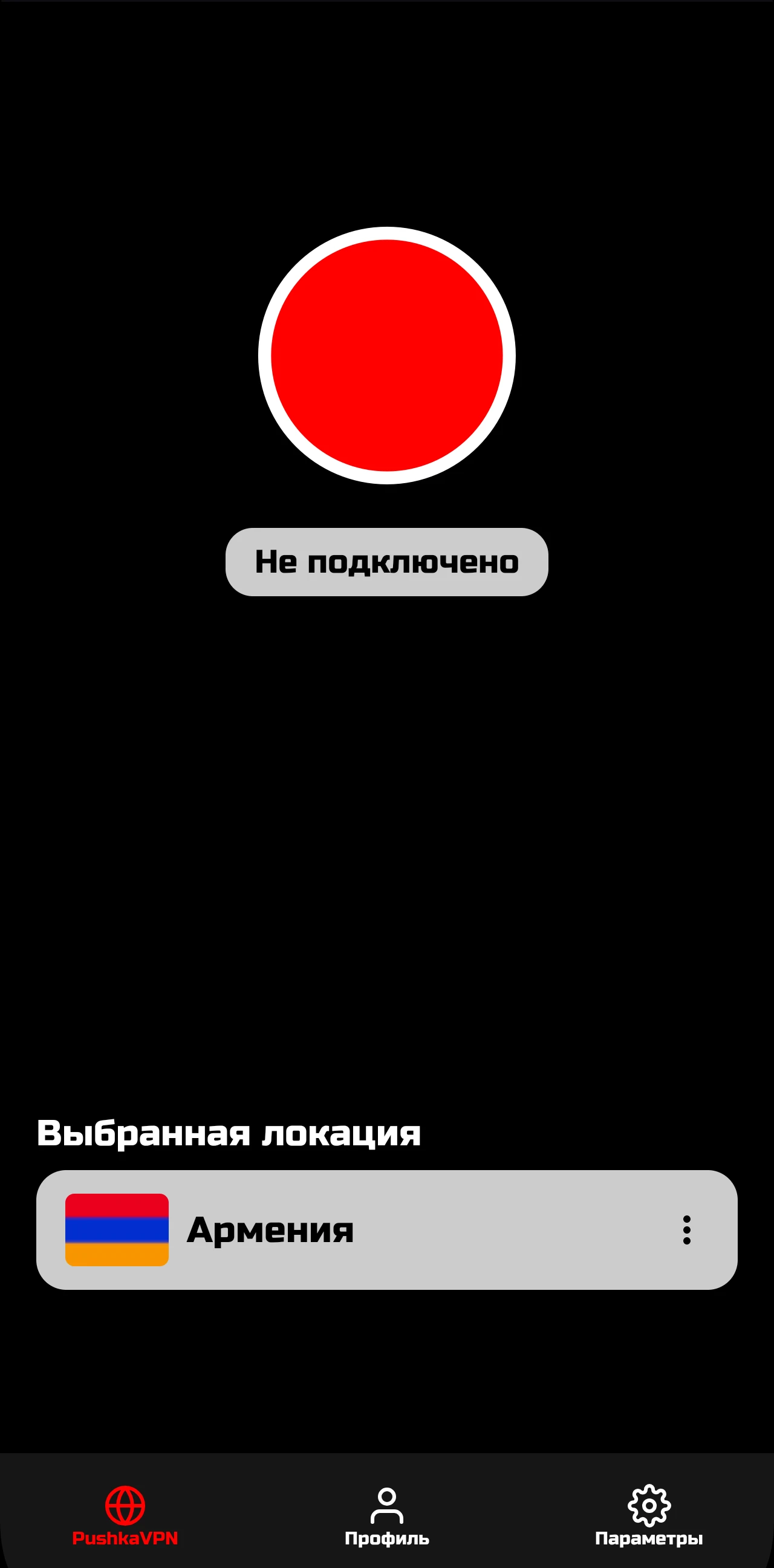 PushkaVPN mobile home screen